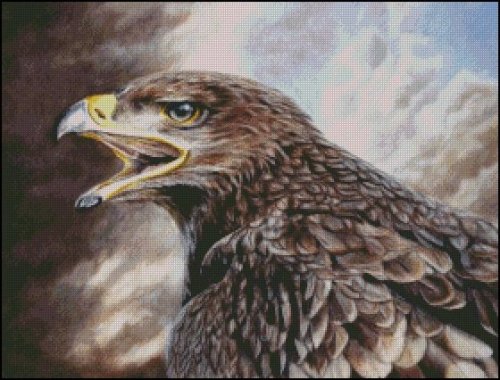 (image for) Eagle Cry